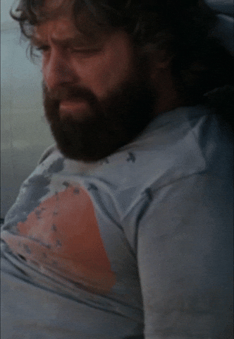Movie gif. Zach Galifianakis as Alan in The Hangover sits dejected in the Las Vegas sand, leaning against a car. He shakes his head in remorse, Text. "I'm sorry I fudged up, guys." 