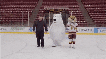fall ice GIF by Goldy the Gopher - University of Minnesota