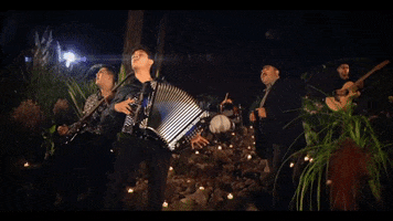 Accordion Cornelio Vega GIF by Cornelio Vega Y Su Dinastia