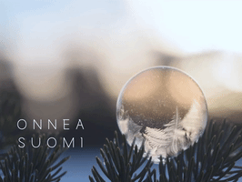 Independence Day Finland GIF