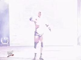 survivor series goldberg GIF by WWE