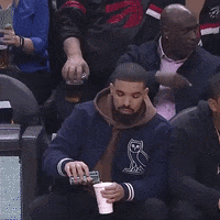 toronto raptors drake perrier GIF by Truly.
