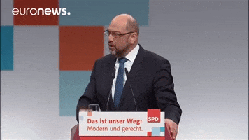germany spd GIF by euronews
