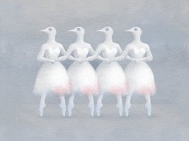 swan lake dancing GIF by yipan