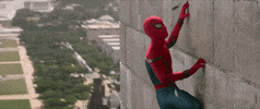 wall climb GIF by Spider-Man