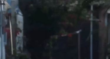 king of comedy xi ju zhi wang GIF