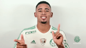 gabriel jesus enea GIF by SE Palmeiras