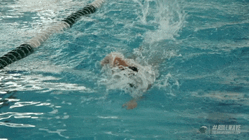 Pool Swimming GIF by GreenWave