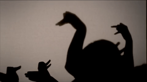 Hand Shadow Art Gif