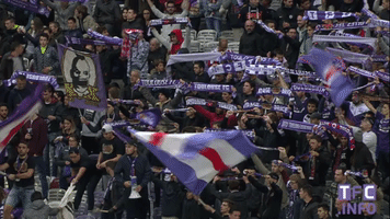 ligue 1 fans GIF by Toulouse Football Club