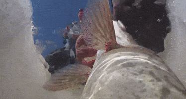 winkelman winter fish cold fishing GIF