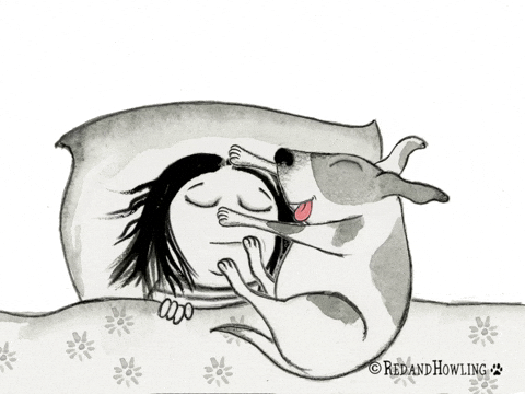 Sweet dreams.
