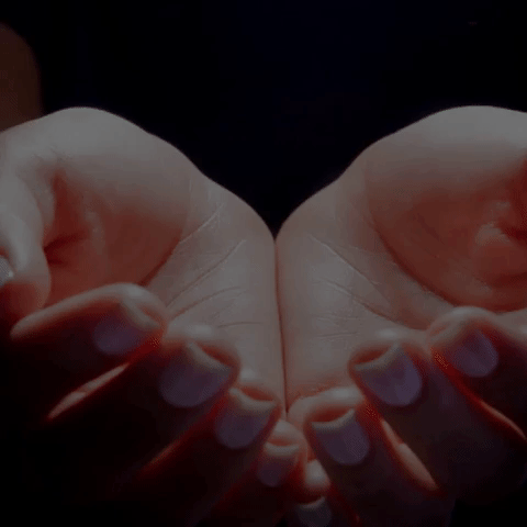 Regnum Christi Legionarios De Cristo GIF