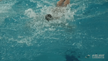 fly swimming GIF by GreenWave
