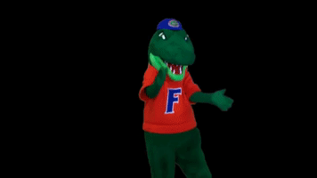 Excited Fired Up GIF by Florida Gators