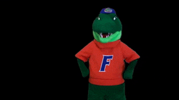 albert gator what GIF by Florida Gators