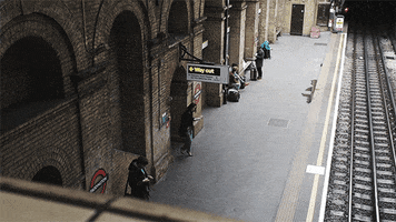 shinidzikowska enter filippa k GIF