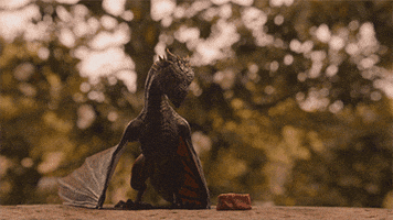 Fire Breathing Hbo GIF by Game of Thrones