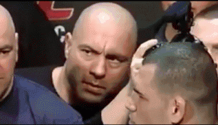 Face Off Stare GIF by UFC