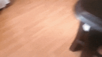 gamerstylemx dog GIF