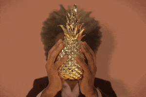 pineapple decoration GIF by TK Maxx