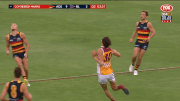 adelaidecrows mark courage adelaide crows matt crouch GIF