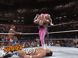 WWE sports wwe wrestling 1989 GIF