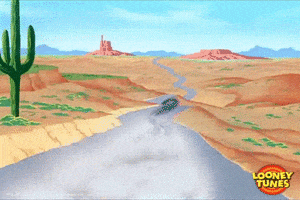 road runner goodbye GIF by Looney Tunes