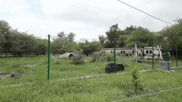 tourmyindia  GIF