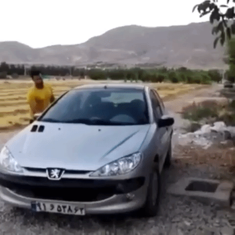 dejavuhu  GIF