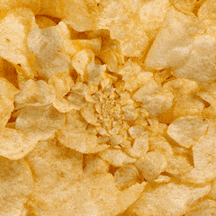 Favorite kind of chip