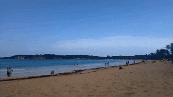 Yudafry  GIF