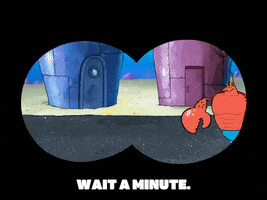 season 6 boating buddies GIF by SpongeBob SquarePants