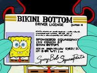 Season 3 Mermaid Man And Barnacle Boy Iv GIF by SpongeBob SquarePants -  Find & Share on GIPHY