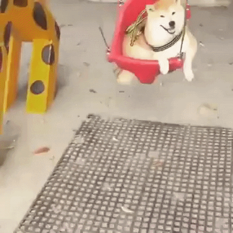 mhmd  GIF