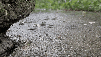 dmag  GIF