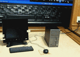 hadat  GIF