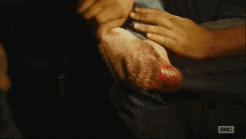 sandragonzalez  GIF