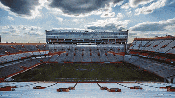 college football GIF by University of Florida