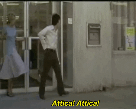 Dog Day Afternoon Gifs Get The Best Gif On Giphy