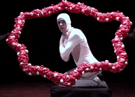 of montreal musicvideo GIF by Polyvinyl Records