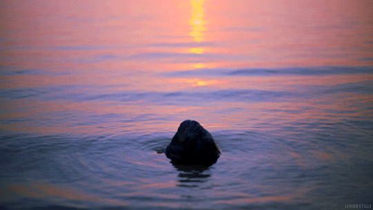 Water Rock GIF by Living Stills - Find & Share on GIPHY
