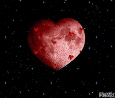 love love boat GIF