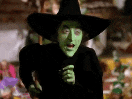 Ill Get You My Pretty The Wizard Of Oz GIF by Top 100 Movie Quotes of All Time