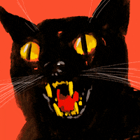 Black Cat Halloween GIF by GIPHY Studios Originals