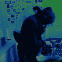 dance dj GIF by The Lot Radio