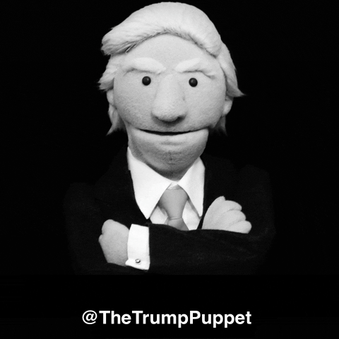 thetrumppuppet no trump puppet noir GIF