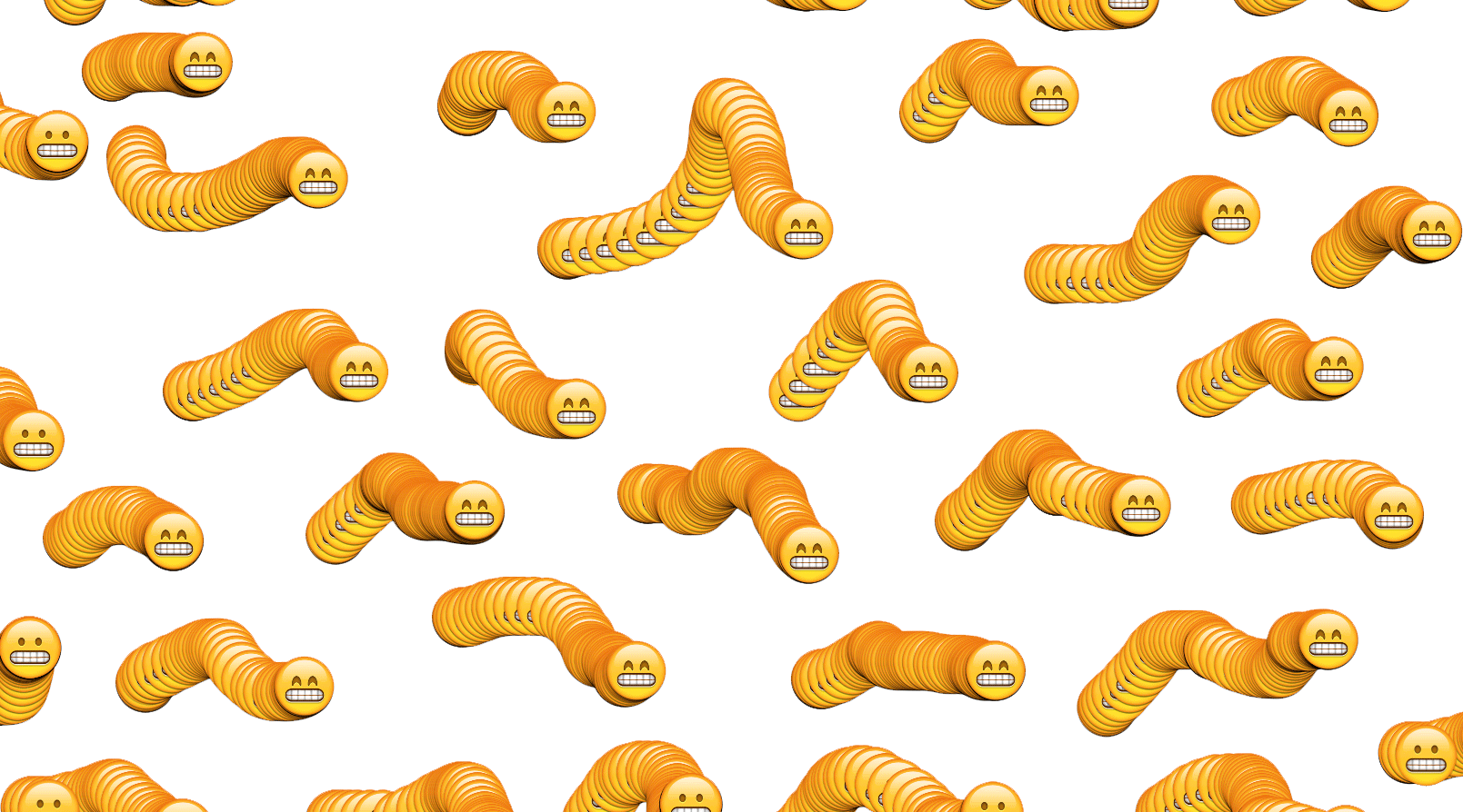 Pizza Fly Worms Pizza Fly Worms