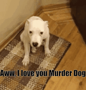 tucstwo smile worms pit bull murder dog GIF