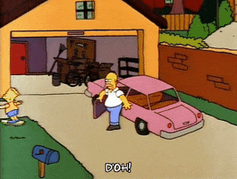 Homer Simpson Car Gif